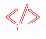 sknsp.com